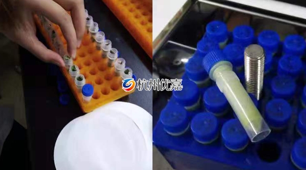 宋慈研磨儀批量研磨植物組織，速度快，重復(fù)性好