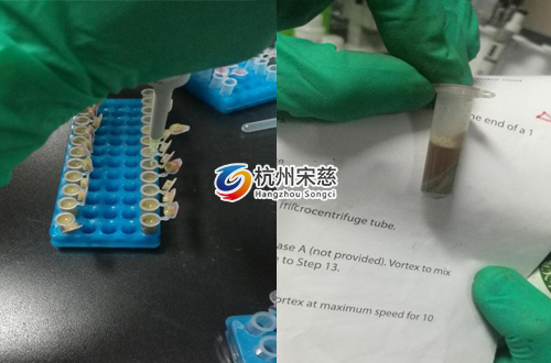 <a href=http://m.51kaba.com/prouduct/lengdong/ target=_blank class=infotextkey>冷凍研磨儀</a>